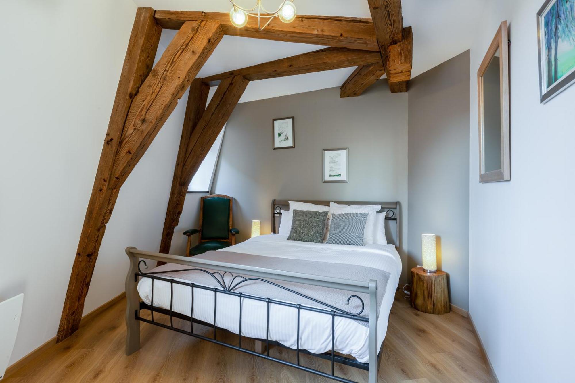 Le Rhenanus Jacques Spiegel - Ideal Pour Un Couple - Appartement Au Calme - Parking Gratuit Selestat Exterior photo